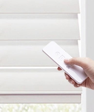 Wireless remote control